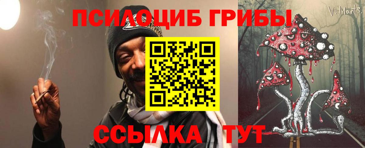 Псилоцибиновые грибы MAGIC MUSHROOMS  Галлюциногенные грибы прущие грибы  Вход с VPN  Вышний Волочёк 